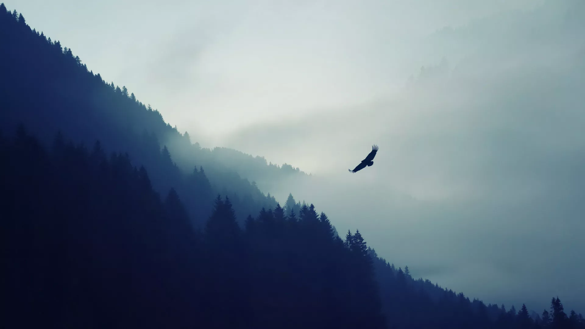 SkyOS PC Wallpaper